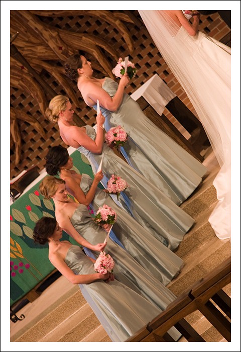 Oh yeah the wedding...  Here are the brides maids... from L to R that is Jen, April, Rany, Keleigh's cousin Lisa, and Christina