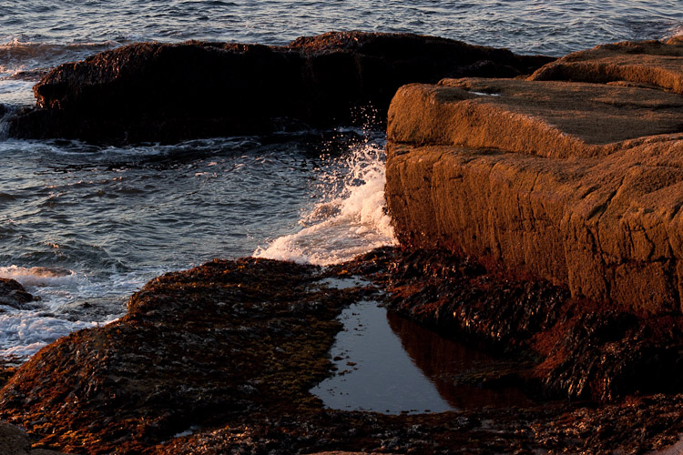 Acadia National Park - Day 2