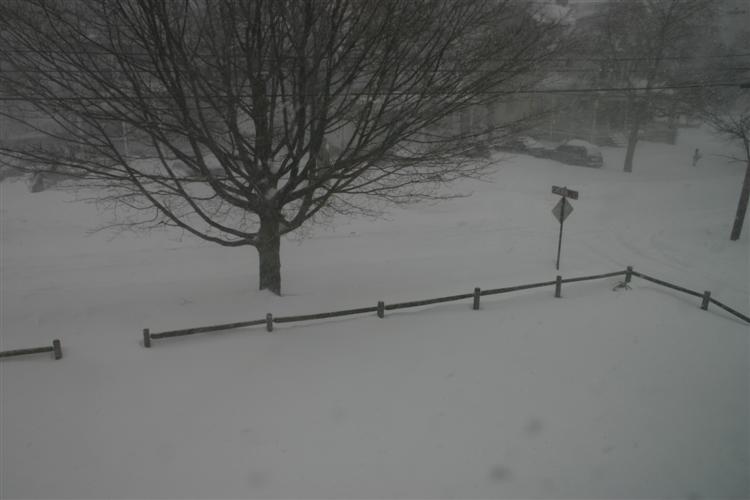 Also from second floor window.