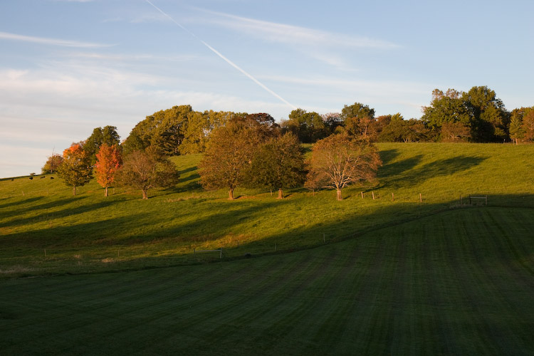 Janice & Seth's Wedding