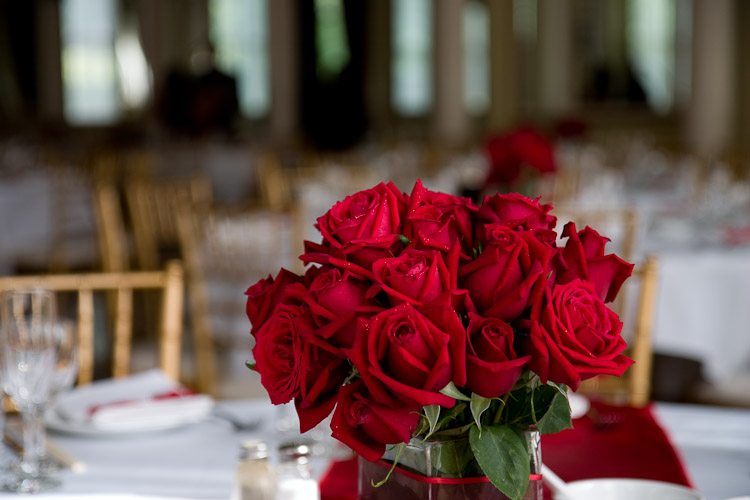 Rany & Chris's Wedding