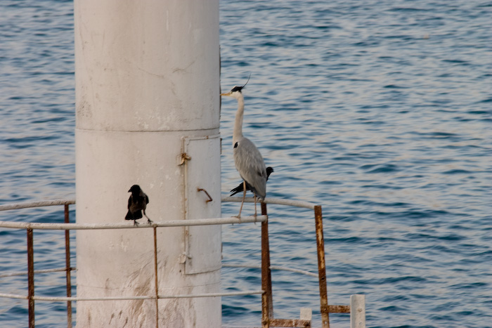 Rehersal Dinner Cruise
