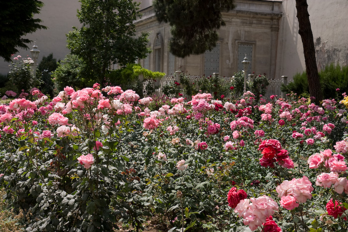 Dolmabahçe Palace and Spice Bazar