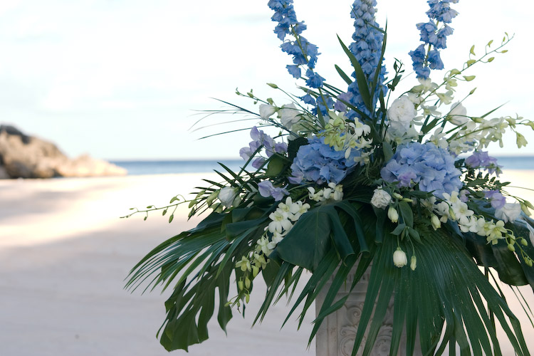 Nicole & Cliff's Wedding