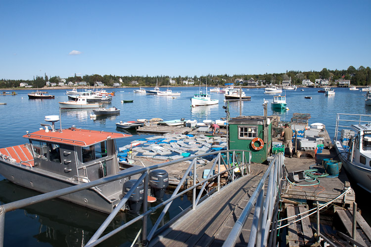 Acadia National Park - Day 1
