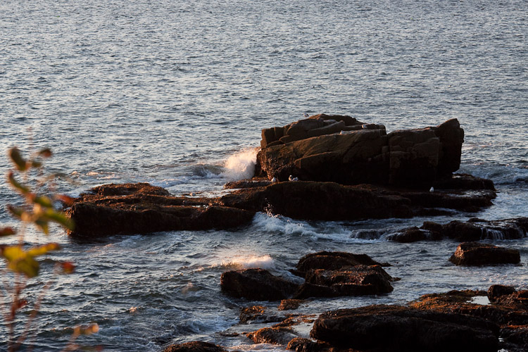 Acadia National Park - Day 2