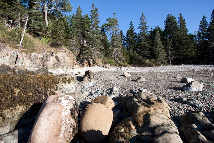 Acadia National Park - Day 2