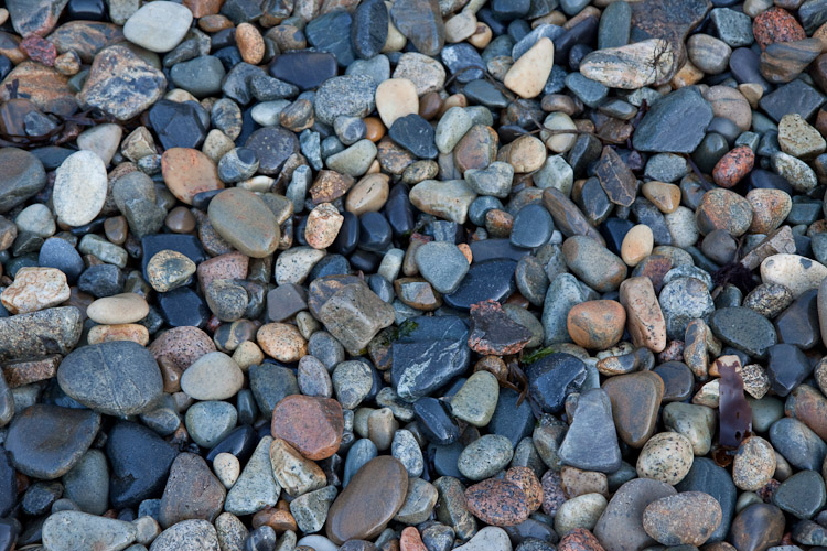 Acadia National Park - Day 2