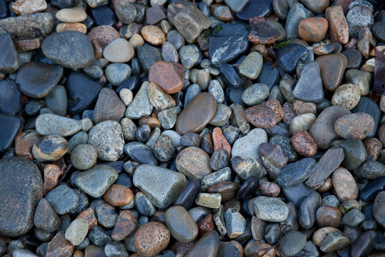 Acadia National Park - Day 2