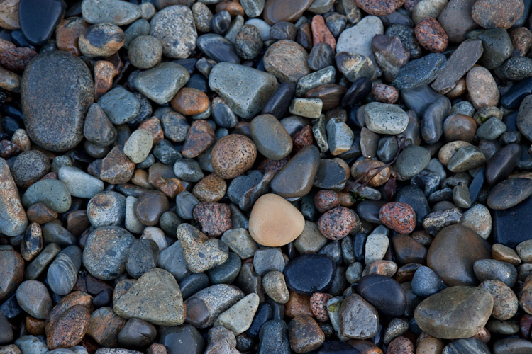 Acadia National Park - Day 2