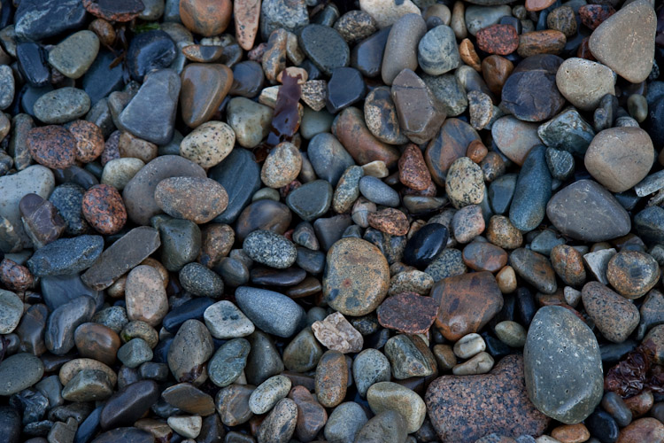 Acadia National Park - Day 2