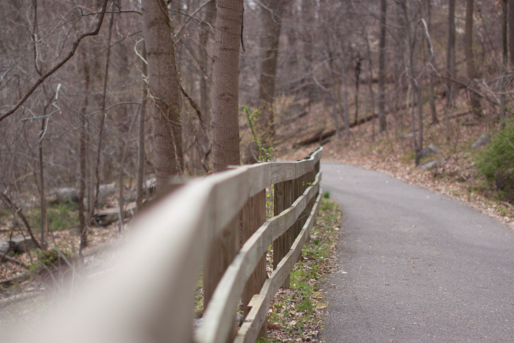 Hiking in Delaware with the Family