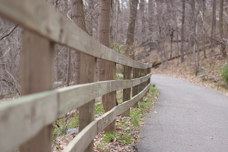 Hiking in Delaware with the Family