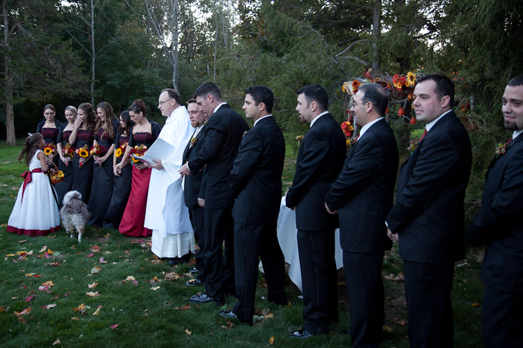 Matt & Melissa's Wedding