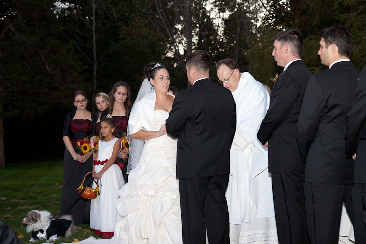 Matt & Melissa's Wedding